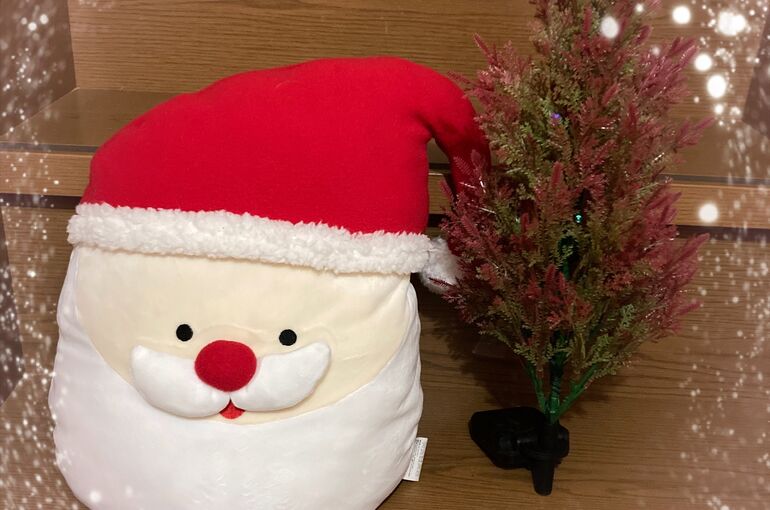 レッスンで使用したクリスマスアイテム